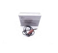 Sensore Temperatura Acceleratore Scarico Per VW Crafter 30-35 070906088A