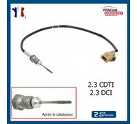 Sensore Temperatura Acceleratore Scarico Pinze per Movano B 2.3 CDTI 4406921