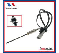 Sensore Temperatura Acceleratore Scarico Pinze per Renault Trafic III 1.6 DCI