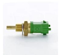 Sensore temperatura carburante Pompa alta pressione (lato bassa pressione) ovale