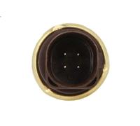 Sensore, temperatura del liquido di raffreddamento DELPHI TS10283