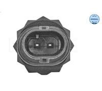 Sensore, temperatura del liquido di raffreddamento MEYLE 314 821 0001 5 2 2010-