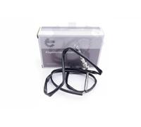 ESEN SKV 30SKV134 Sensore, Temperatura gas scarico