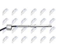 NTY EGT-AU-003 Sensore, Temperatura gas scarico