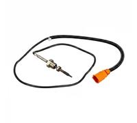 Delphi Sensore temperatura gas di scarico TS30166 per VW Multivan T5 e Transporter V