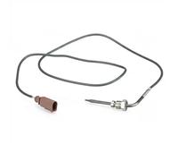 Delphi Sensore temperatura gas di scarico TS30169 per VW, Audi (Touareg 7LA/7L6/7L7, Q7)