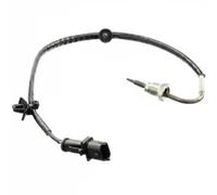 Sensore temperatura gas di scarico TS30182 DELPHI per OPEL MERIVA B VAN