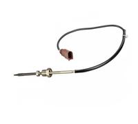 Sensore temperatura gas di scarico TS30259 DELPHI per AUDI A8 D4 A5 A5 Sportback