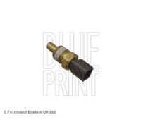 Sensore temperatura liquido refrigerante nero ADB117219 BLUE PRINT per CHRYSLER