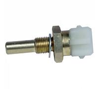 Delphi TS10251 Switch