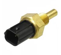 DELPHI TS10296 - Sensore temperatura refrigerante