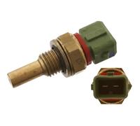 Febi Bilstein Sensore temperatura liquido refrigerante 30768 verde per Citroën