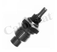 Sensore temperatura liquido refrigerante WS2505 CALORSTAT by Vernet per RENAULT