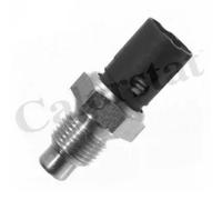 Sensore temperatura liquido refrigerante WS2508 CALORSTAT by Vernet per RENAULT