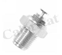 Sensore temperatura liquido refrigerante WS2521 CALORSTAT by Vernet per AUDI VW