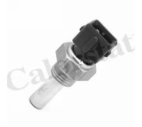 Sensore temperatura liquido refrigerante WS2554 CALORSTAT by Vernet per BMW