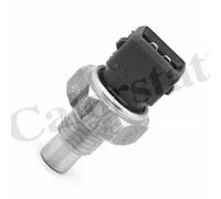 Sensore temperatura liquido refrigerante WS3006 CALORSTAT by Vernet per RENAULT