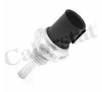 Sensore temperatura liquido refrigerante WS3010 CALORSTAT by Vernet per HONDA