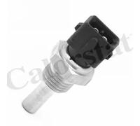 Sensore temperatura liquido refrigerante WS3020 CALORSTAT by Vernet