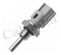 Sensore temperatura liquido refrigerante WS3079 CALORSTAT by Vernet per SUZUKI