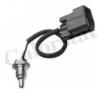 Sensore temperatura liquido refrigerante WS3109 CALORSTAT by Vernet per FORD