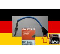 Sensore temperatura gas di scarico Filtro particellare EGT-LR-001 NTY