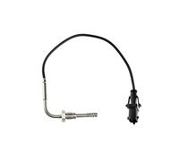 NTY Sensore, Temperatura gas scarico