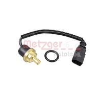 Sensore Temperatura Testa Cilindro Per VW California Multivan Touareg Tr