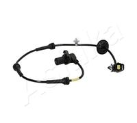 Ashika Ashika 151-0W-W13