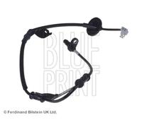 Sensore, velocità ruota BLUE PRINT ADG07165 sinistro