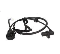 Sensore, velocità ruota DELPHI SS20285 per TOYOTA YARIS (_P1_) 1 1999-2005