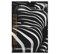 Sensuelles (Calendrier mural 2026 DIN A3 horizontal), CALVENDO calendrier mensuel: Nus féminins dont la moitié avec jeux d'ombres