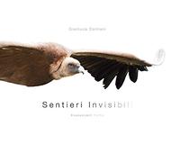Sentieri invisibili-Evanescent paths. Ediz. illustrata
