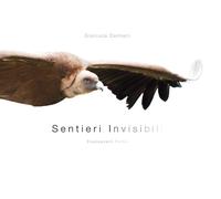 Sentieri invisibili-Evanescent paths. Ediz. illustrata - [Pandion]