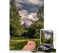 Sentiero di montagna tra gli alberi Puzzle per adolescenti da 1000 pezzi Gioco per allenare la mente Divertimento rilassante Arte da assemblare Oggetto da collezione (50x75cm)