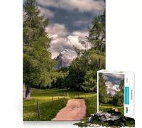 Sentiero di montagna tra gli alberi Puzzle per adolescenti da 1000 pezzi Gioco per allenare la mente Divertimento rilassante Arte da assemblare Oggetto da collezione (50x75cm)