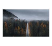 Sentiero forestale mistico arte murale - nebbia autunnale paesaggio natura