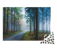 Sentiero nella Foresta Puzzle 1000 Pezzi Carta per Adulti Nebbia Mattutina Gioco di Puzzle 1000 Pezzi Relax Casa Regalo 38x26cm/1000pcs