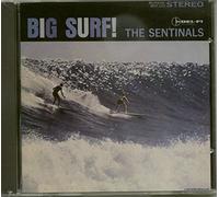 Sentinals - Big Surf