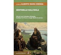 Sentinelle sull'isola