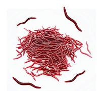 Senven Artificiale Earthworm, Biomimetic Morbido Silicone Earthworm Esche Worm Esche da Pesca Simulazione Red Worms plastica Verde Ambiente Strong Tentazione Esca Finta Red Worm - 200Pcs