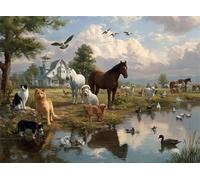 Senyanr Dipingi con i Numeri Adulti Con Cornice,Animali delle nuvole Kit per Dipingere con i numeri adulti 8x12inch,Paint by Numbers Kit Fai Da Te pittura a olio Artigianato,Decorazione Parete Casa