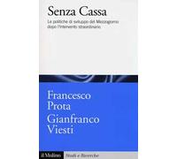 Senza cassa. Le politiche di sviluppo del Mezzogiorno dopo l'intervento straordinario