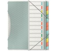 Esselte Quaderno con 12 Divisori in Formato A4 Realizzato in Carta Priva di Acidi e in Plastica Trasparente, Utilizzabile a Casa e in Ufficio, Gamma Colour'Breeze, Motivo in Rilievo - Multicolore