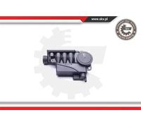 Separatore olio del ricircolo del motore 31SKV080 ESEN SKV per VW AUDI