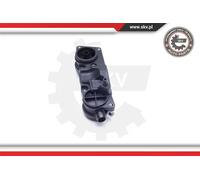 Separatore olio del ricircolo del motore Testa a cilindro 31SKV132 ESEN SKV