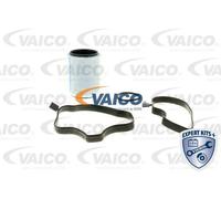 Separatore olio, ventilazione del carter VAICO V20-1112