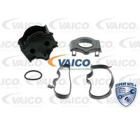 Separatore olio del ricircolo del motore Testa a cilindro Valvola di sfiato