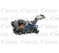 Separatore olio, ventilazione del carter VAICO V10-3502