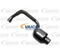 Separatore olio del ricircolo del motore V10-4491 VAICO per AUDI VW